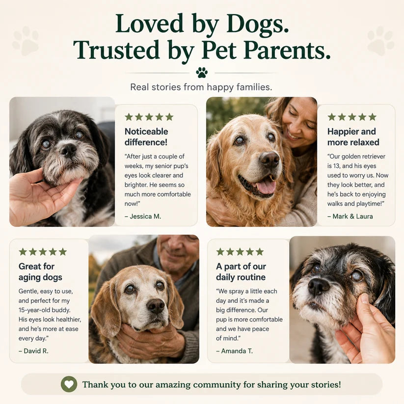 💥50K+ PET PARENTS TRUSTED💕 - LOVILDS™ Pet Lutein Eye Care Spray