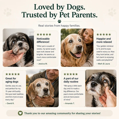 💥50K+ PET PARENTS TRUSTED💕 - LOVILDS™ Pet Lutein Eye Care Spray