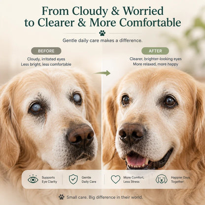 💥50K+ PET PARENTS TRUSTED💕 - LOVILDS™ Pet Lutein Eye Care Spray